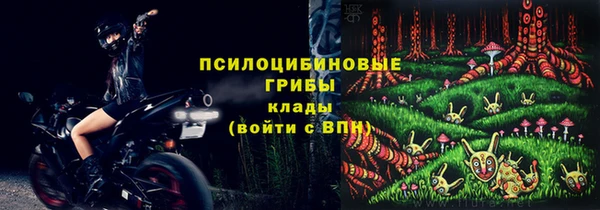 амф Богородск