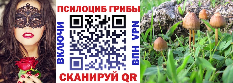 shop клад Вельск Псилоцибиновые грибы мухоморы